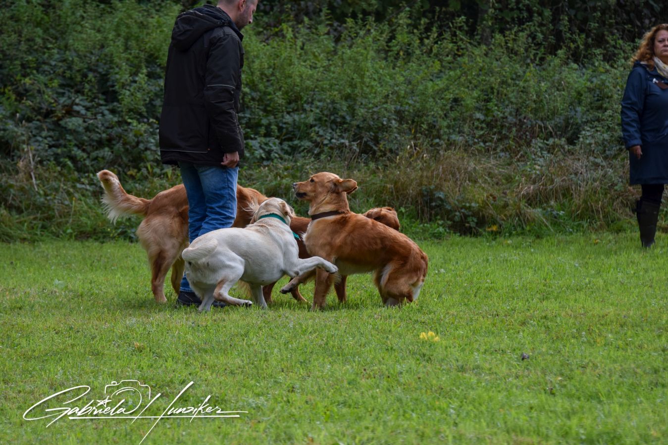 Lani am Spielen mit Artgenossen
