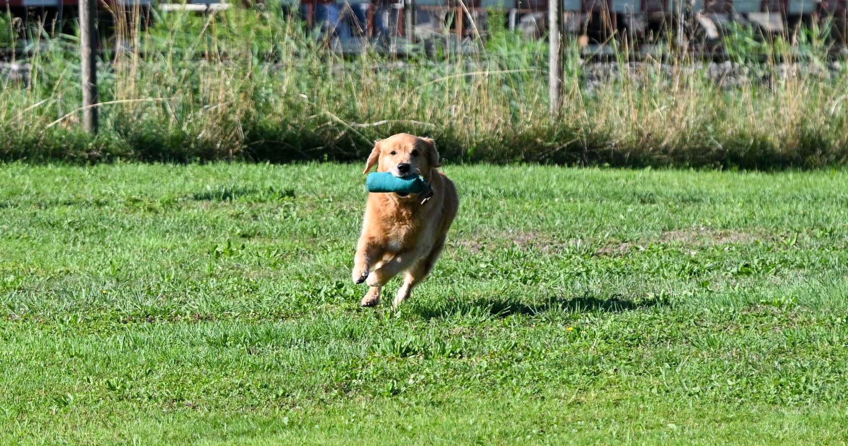 Sami am Wesenstest in Kreuzlingen