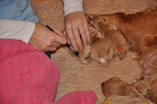 15976755888 b42bd64b6f z