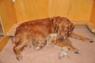 15978143639 d9790815e8 z