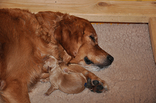 16172227752 0941dbbd29 z