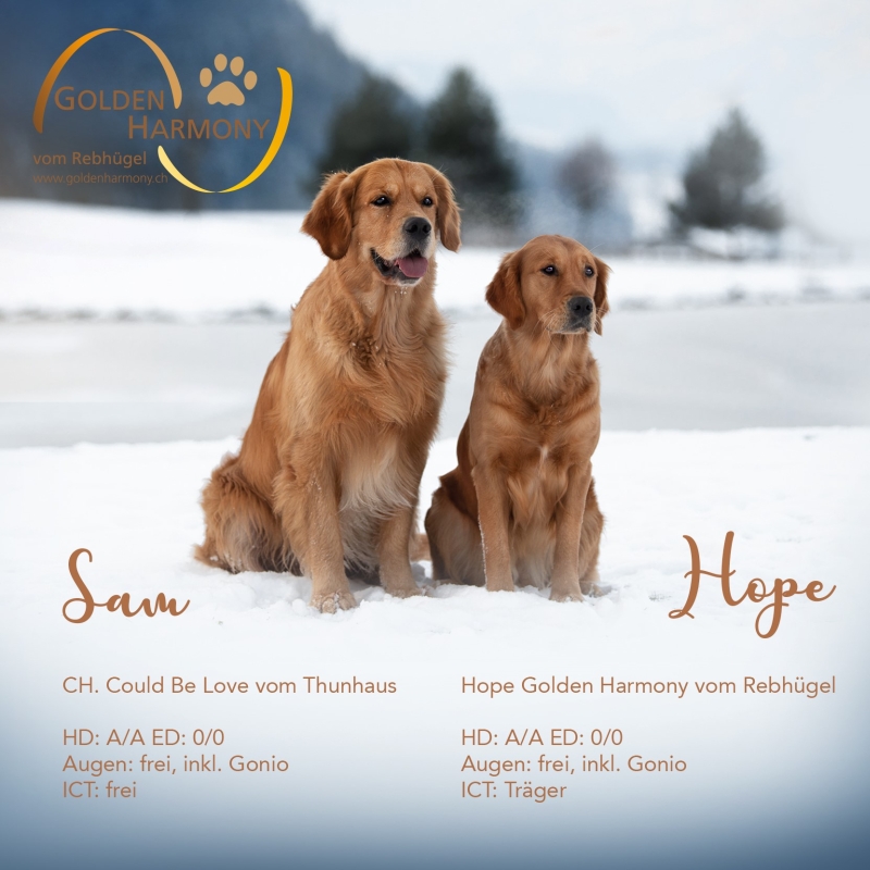 Hochzeit Hope x Sam