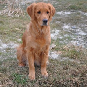 Aileen (w) im Jahr 2017