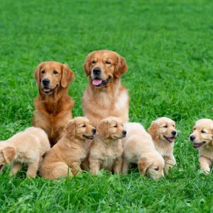 Mama, Papa und Kids am 30.09.2018