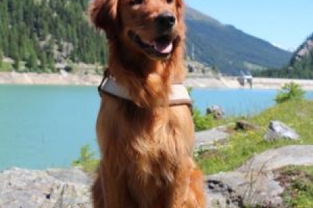 Athos&nbsp;(Basco, m) am 15.06.2018