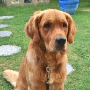 Cliff&nbsp;(m) am 31.07.2018