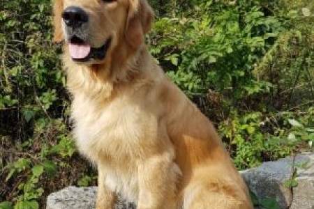 Fynn&nbsp;(Bailey, m) am 28.08.2018