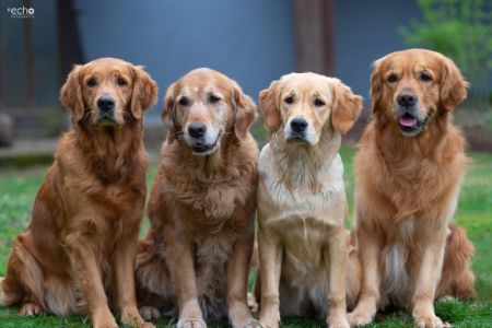 Mama Aileen, Gossmama Amira, Fly und Papa Camillo (v.l.n.r.) am 5. April 2019