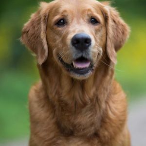 Aileen am 21.05.2019