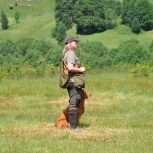 Aileen am 30.07.2019 beim Dummytraining im Bregenzerwald