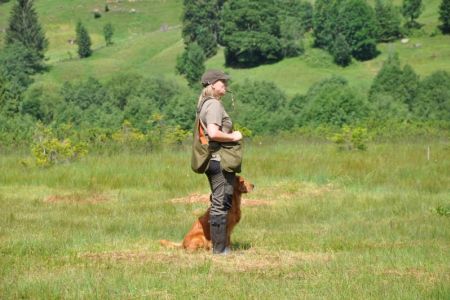 Aileen am 30.07.2019 beim Dummytraining im Bregenzerwald