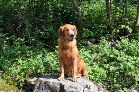 Aileen am 01.08.2019 im Bregenzerwald