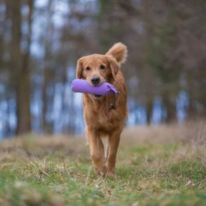Aileen am 02.03.2020 (&copy;Foto: Andreas Sellmer)