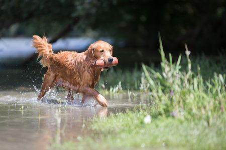 Aileen am 11.07.2020 (&copy;Foto: Andreas Sellmer)