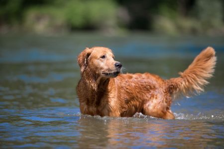 Aileen am 11.07.2020 (&copy;Foto: Andreas Sellmer)