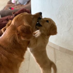 Mama is the best - Hope am&nbsp;15.07.2020
