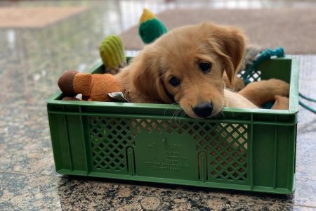 ...jetzt passe ich noch rein - Hope am 09.07.2020