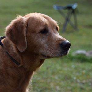 Trainingswoche Bivio 2020