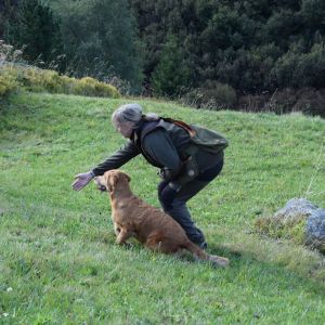 Aileen&nbsp;in Bivio - September 2020