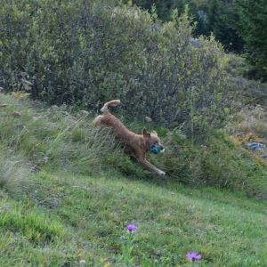 Aileen&nbsp;in Bivio - September 2020