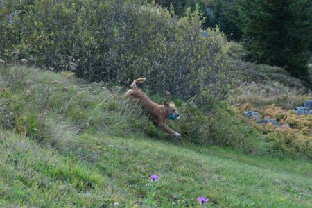 Aileen&nbsp;in Bivio - September 2020