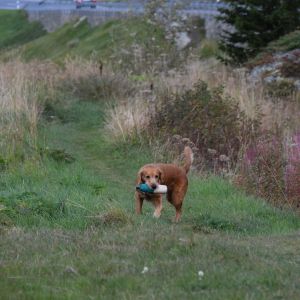 Aileen&nbsp;in Bivio - September 2020