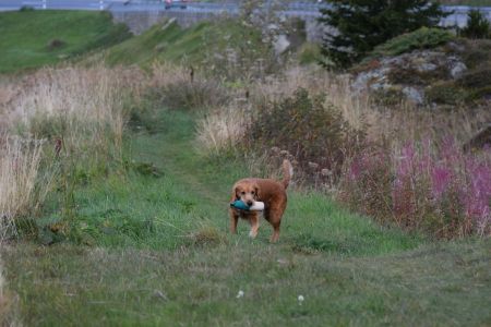 Aileen&nbsp;in Bivio - September 2020