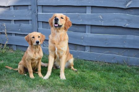 Hope und Marley