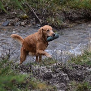 Aileen&nbsp;in Bivio - September 2020