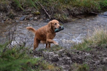 Aileen&nbsp;in Bivio - September 2020