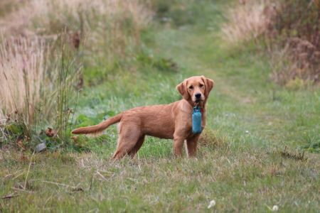 Soo?&nbsp;(Bivio am 23.09.2020)