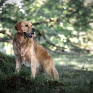 Juri&nbsp;(Flash, m) im Mai 2020